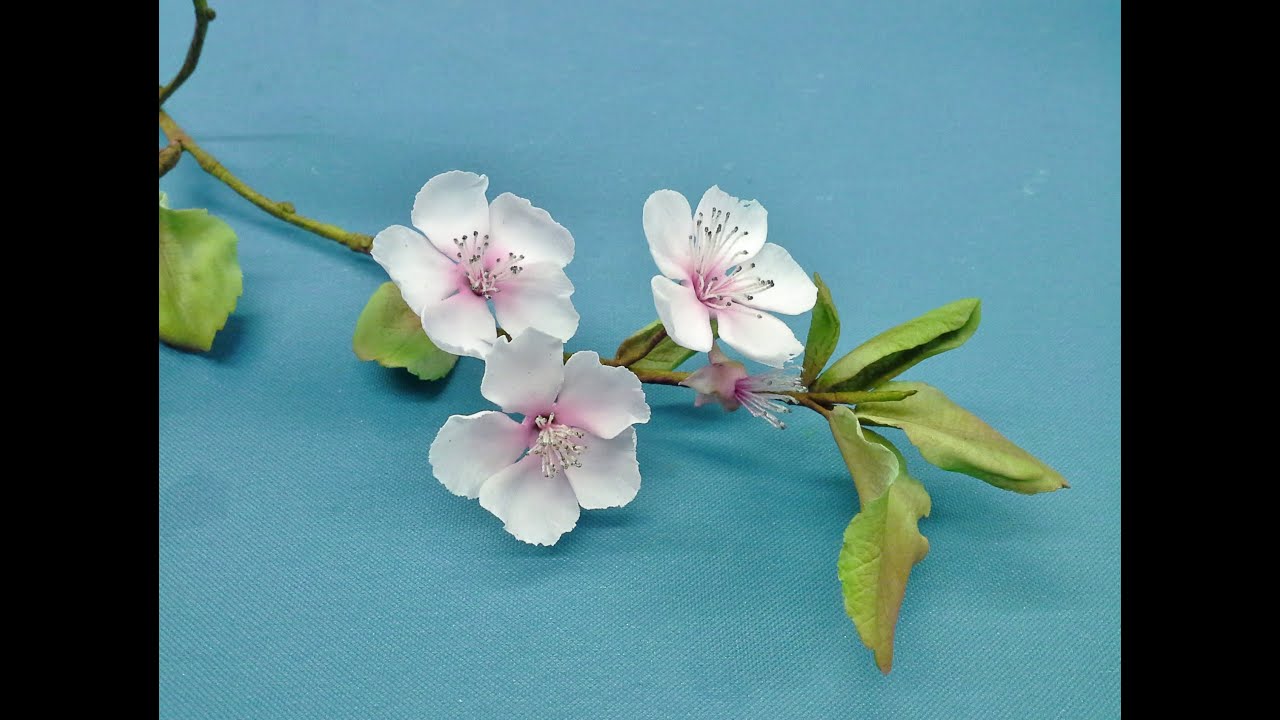 Spring Blossom in Sugar (Wired Sugar Flower Skills)