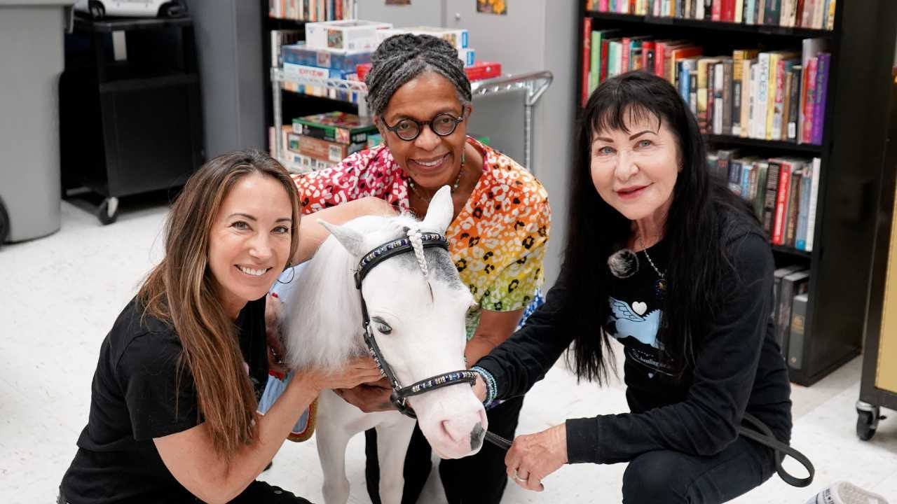 Mini Horses, Big Mission: Bringing Comfort, Joy, and Healing to Veterans