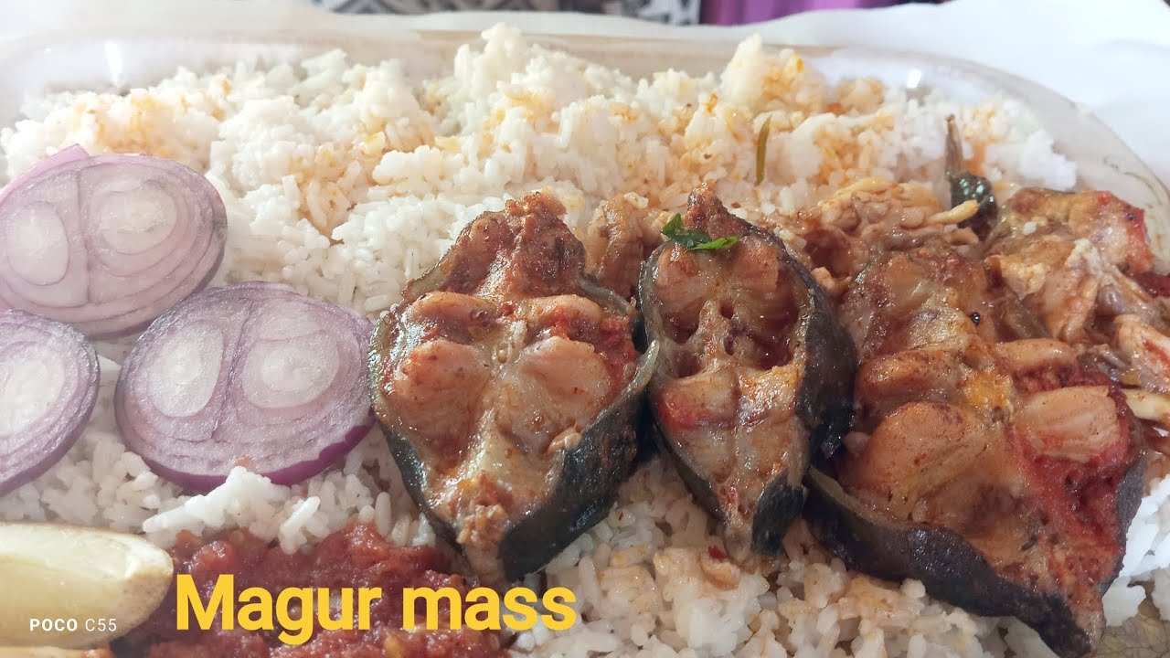 (Catfish magur mas) mukbang for father's day!