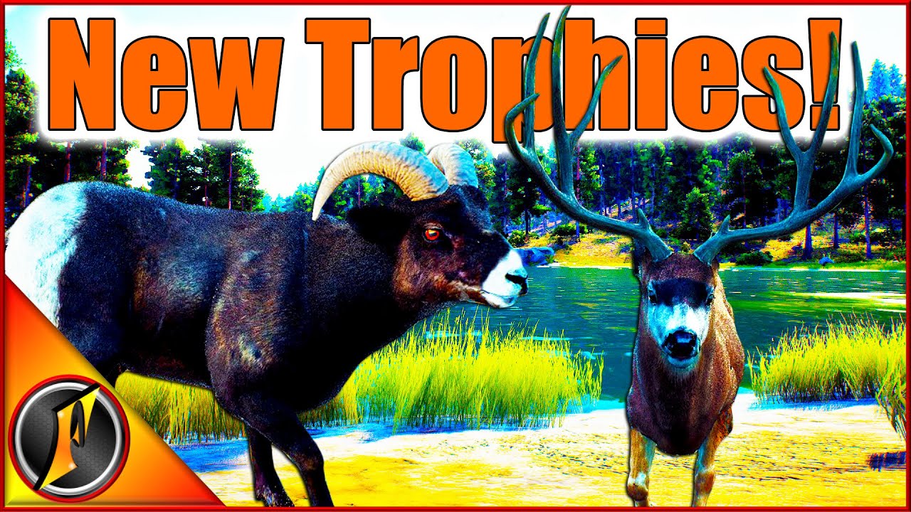 New Trophies for Our Lodge! | 5 Star Mule Deer & The Black Bighorn!