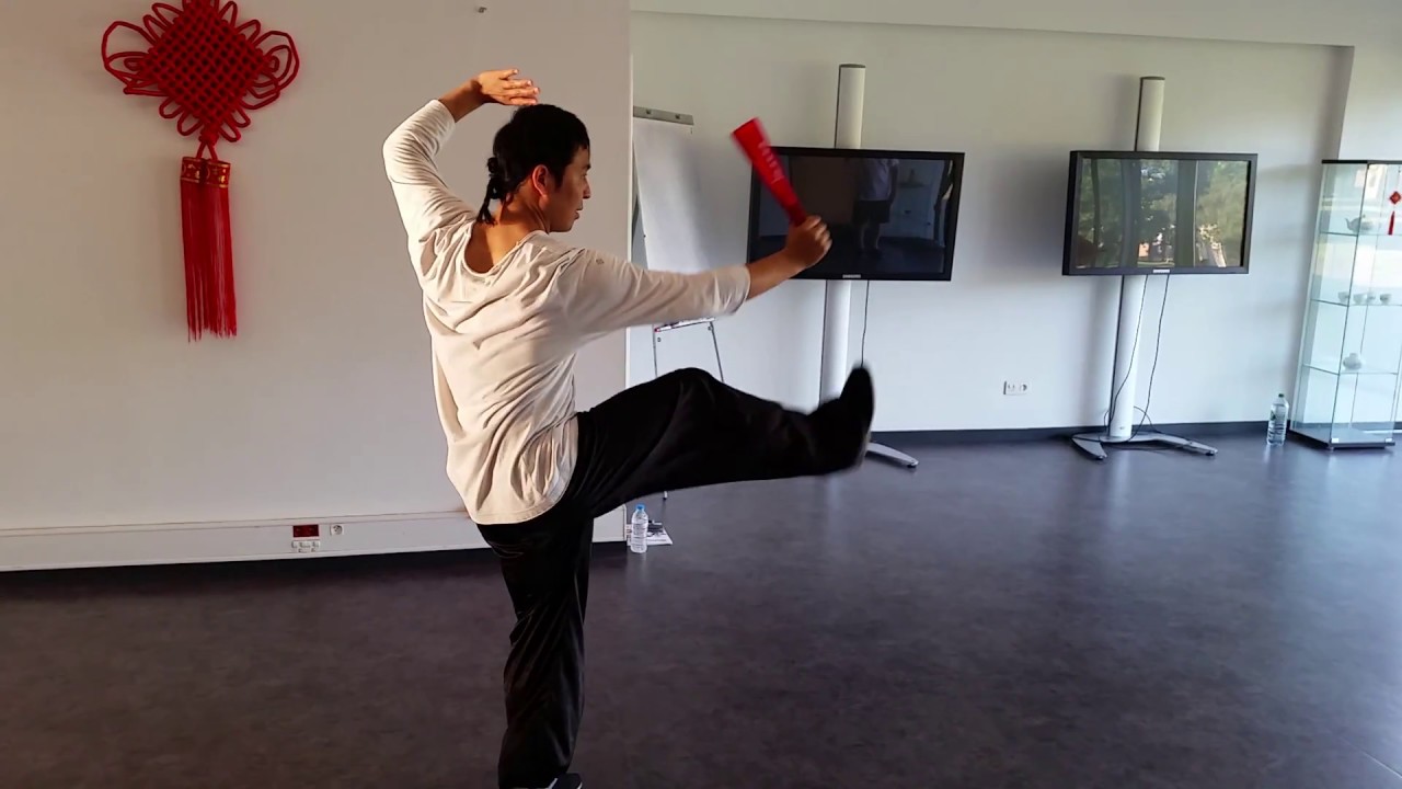 éventail tai chi chuan forme 52 Li Xing Long