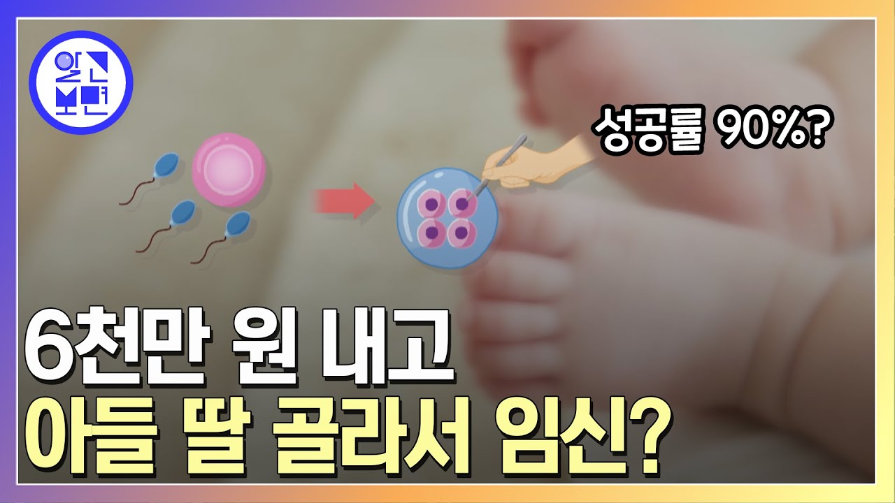 시험관시술로 성별선택임신, 합법일까?