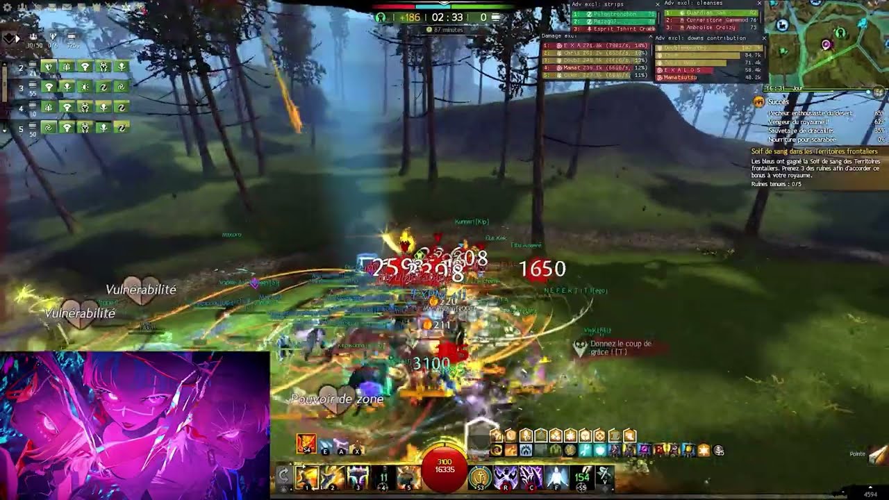 HAMMER ELE / PUMPING DAMAGE  - GW2 WvW - [gOOd]