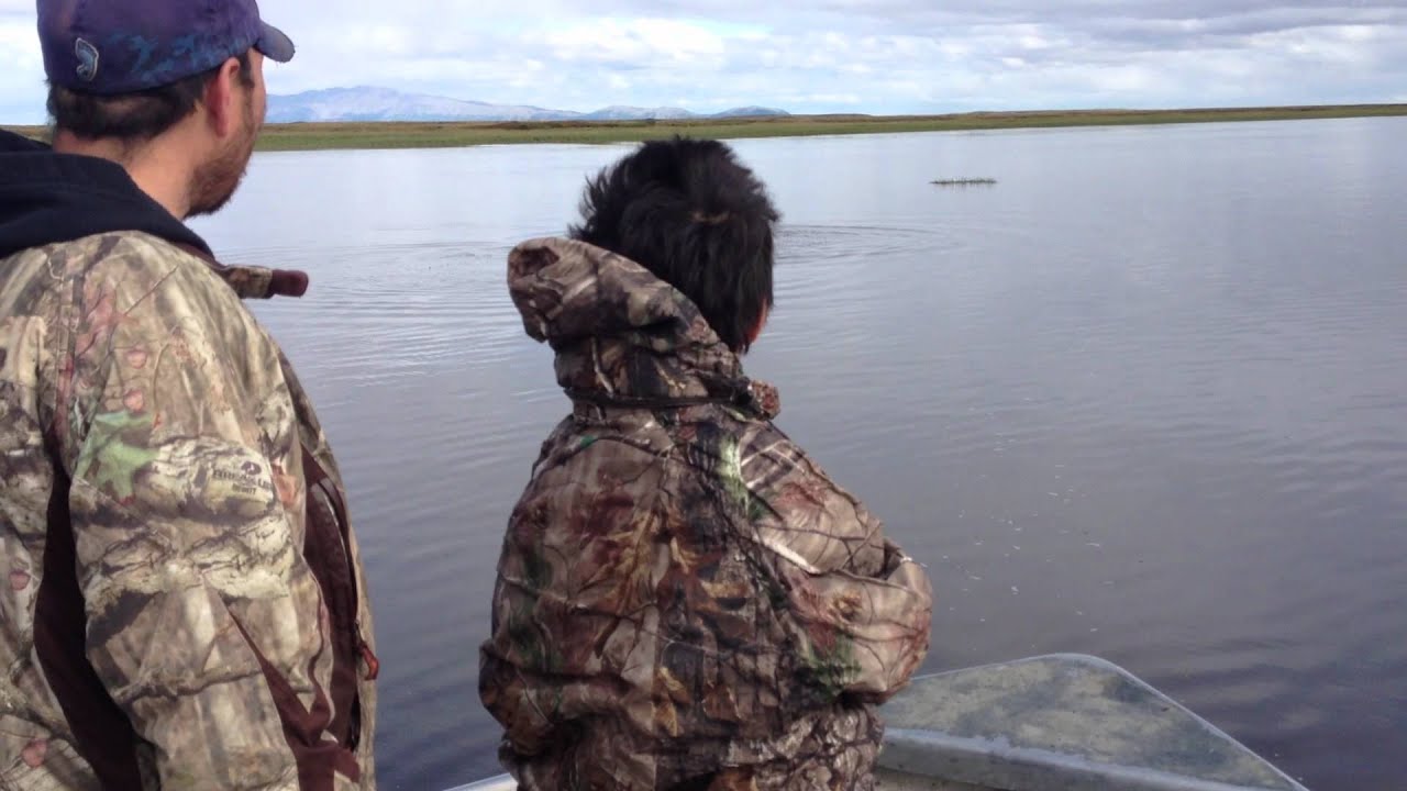 Seal hunting 3