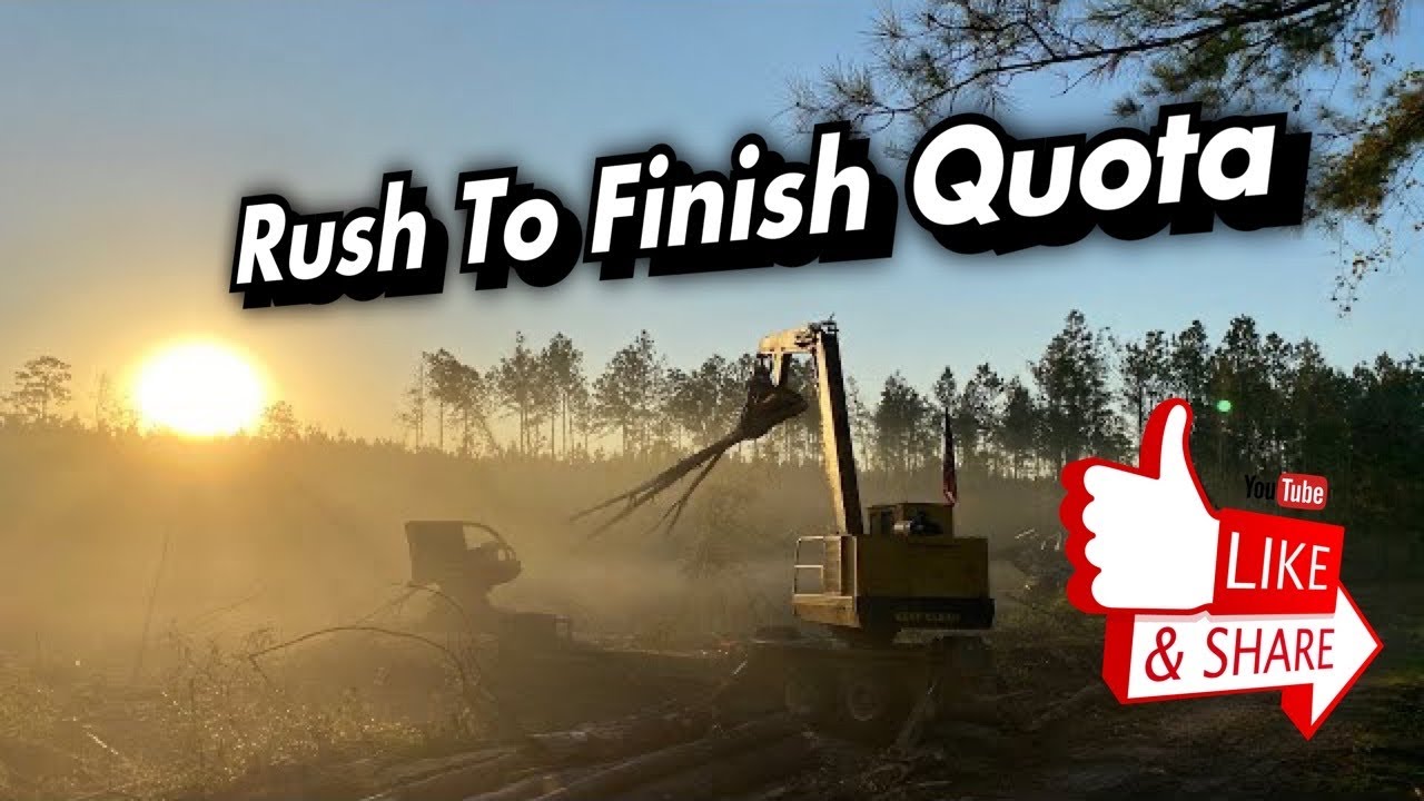 John Deere & Tigercat Logging Equipment Trying To Get Our Quota In