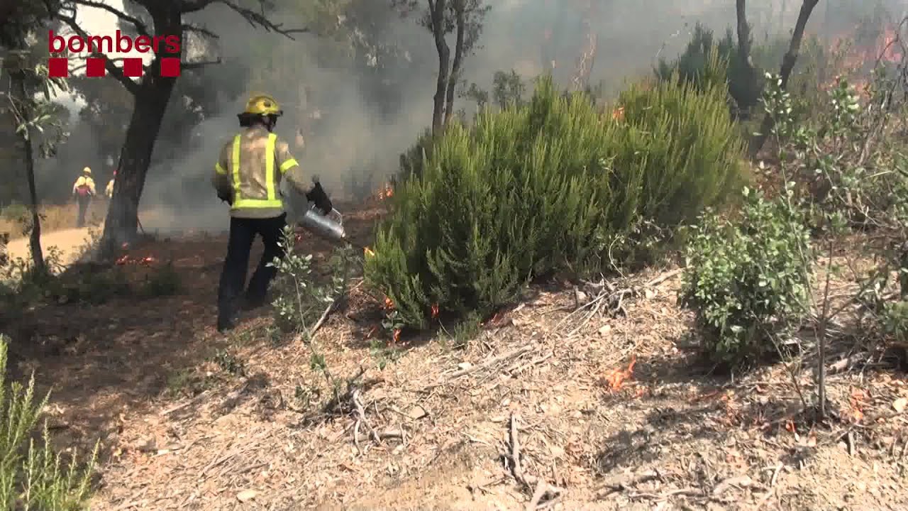 Incendi Forestal al Parc Natural de la Serra Collserola
