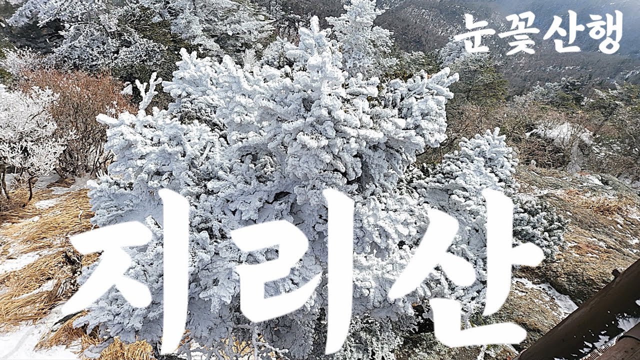 지리산 눈꽃산행/중산리-환경교육원(버스)-천왕봉-장터목-중산리 #지리산 #100대명산 #눈꽃산행