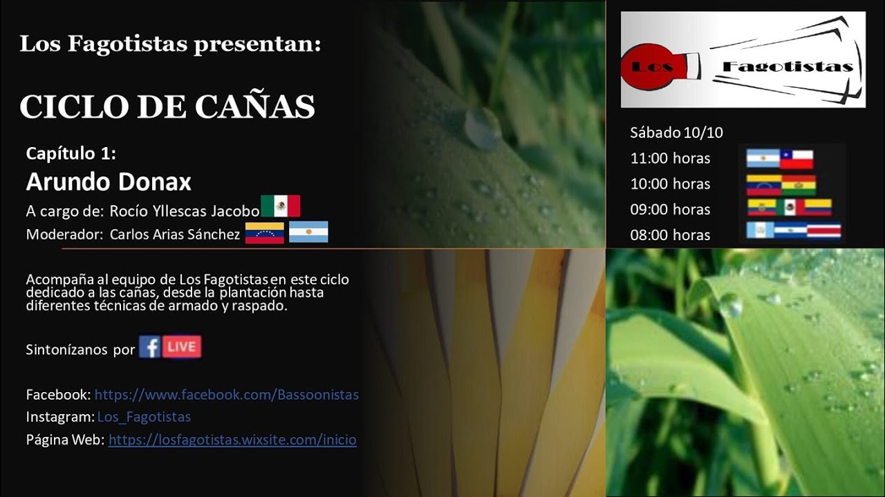 Ciclo de Cañas, Capitulo 1: Arundo Donax