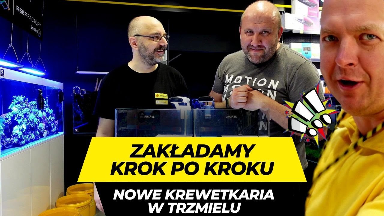 PIERWSZE TAKIE KREWETKARIA W TRZMIELU - ZAKŁADAMY KROK PO KROKU