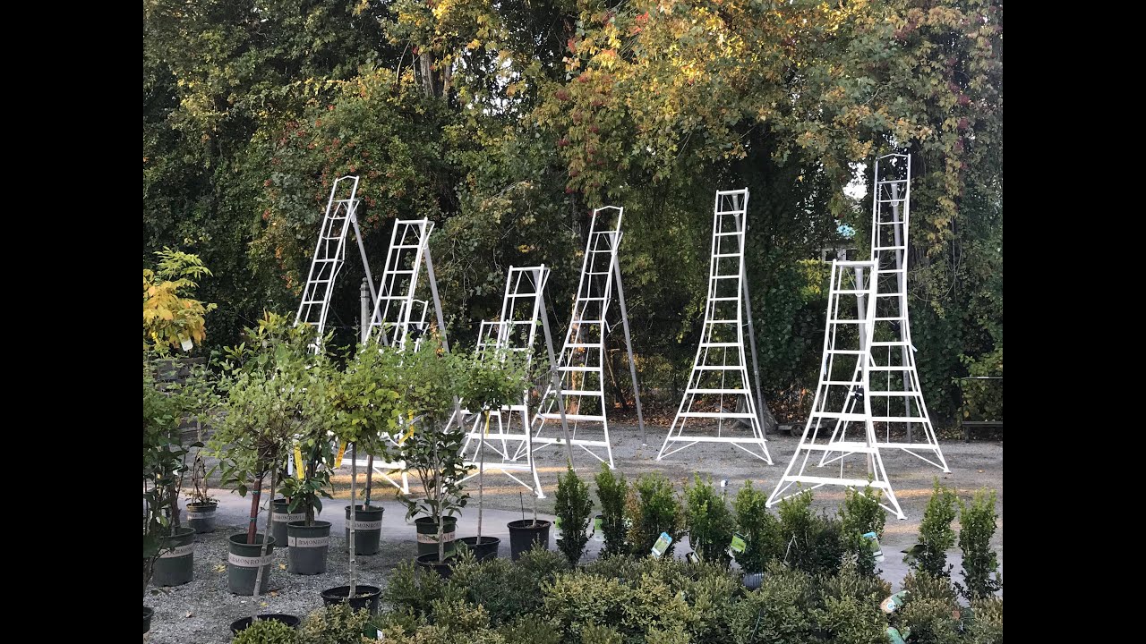 Hasegawa Tripod Ladders - Available in Canada