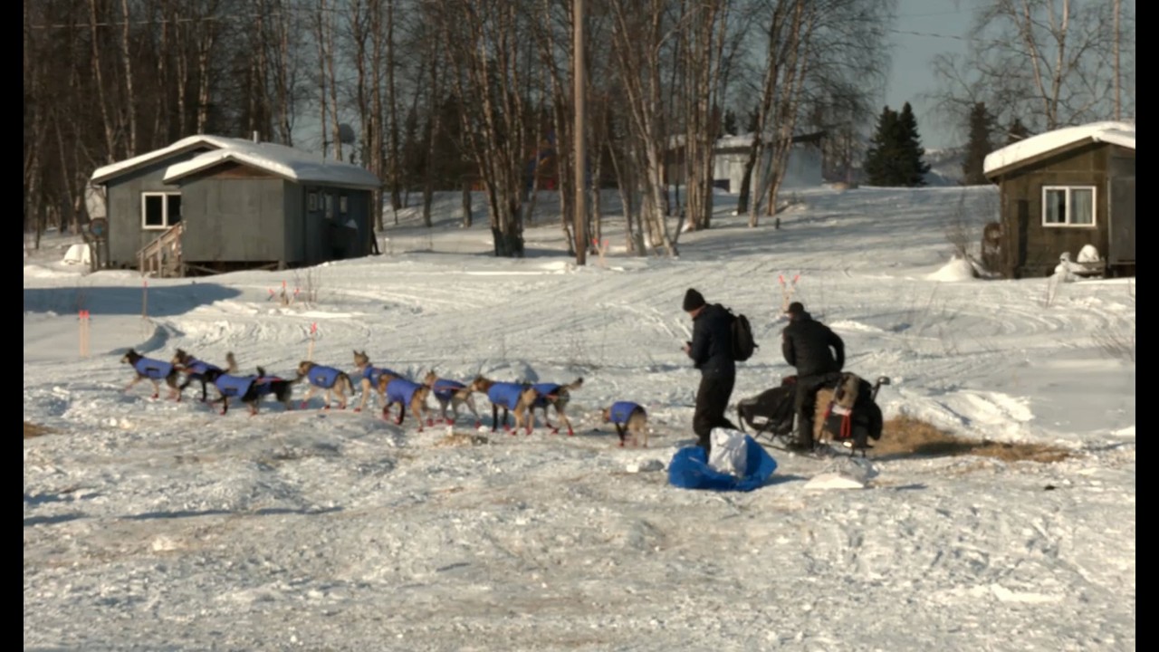 2026 Iditarod - Pete Kaiser out of Kaltag