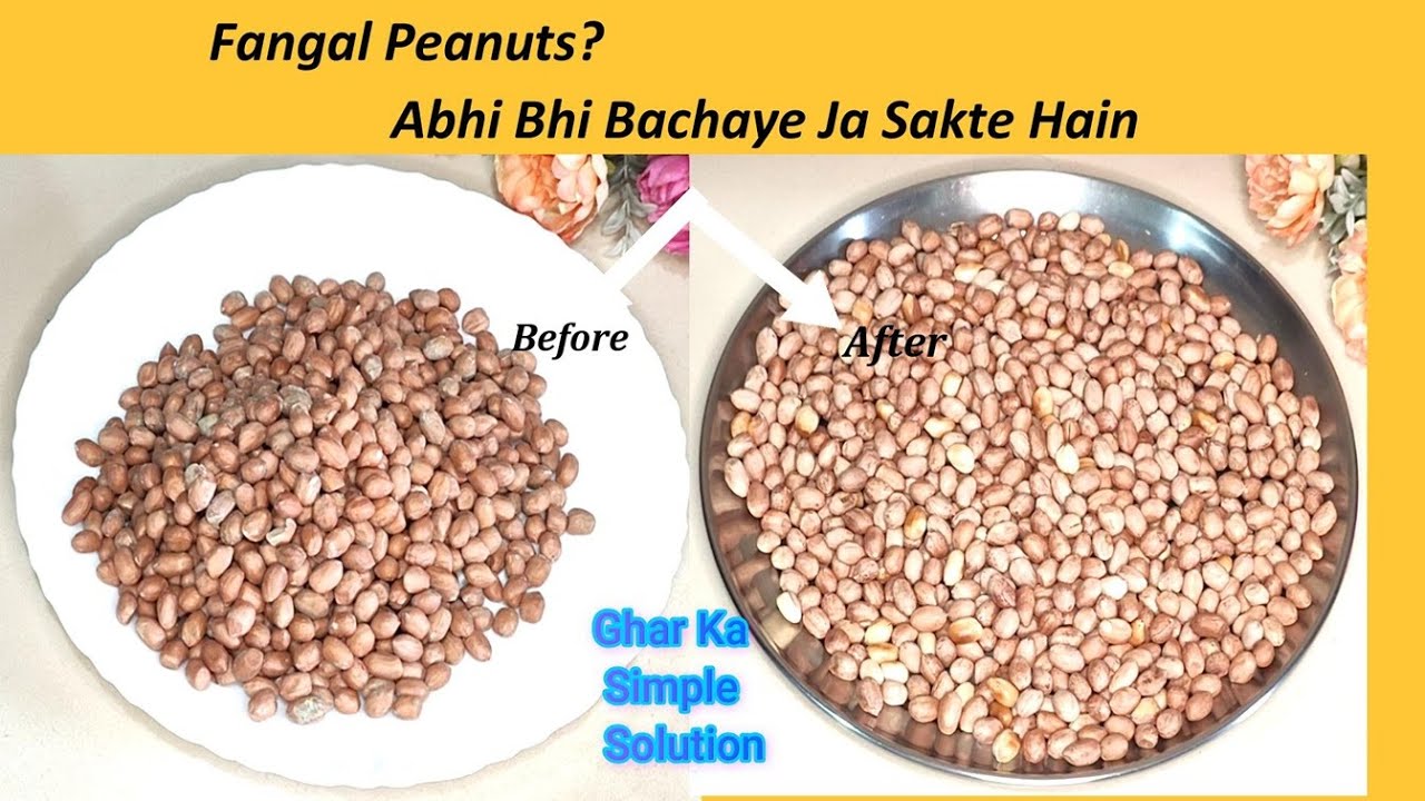 घर में आसान तरीके से फंगल पीनेट्स को साफ करके बहुत से पैसे बचा सकते है। Cleaning of fangal peanuts।