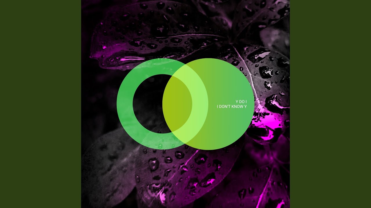 Fly with Y Do I (Original Mix)