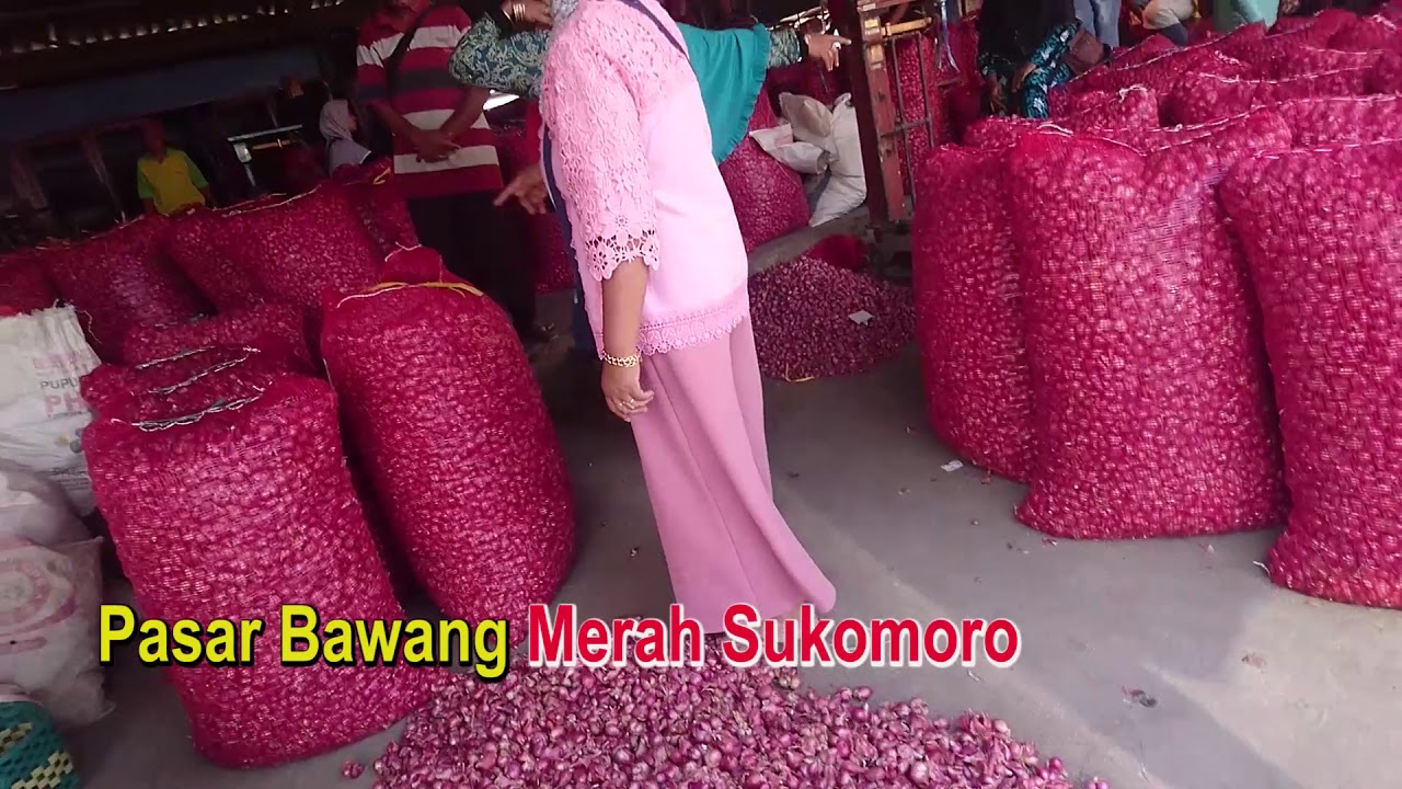 meraup untung beliung, di usaha dagang saat Panen Raya Bawang Merah Kab. Nganjuk