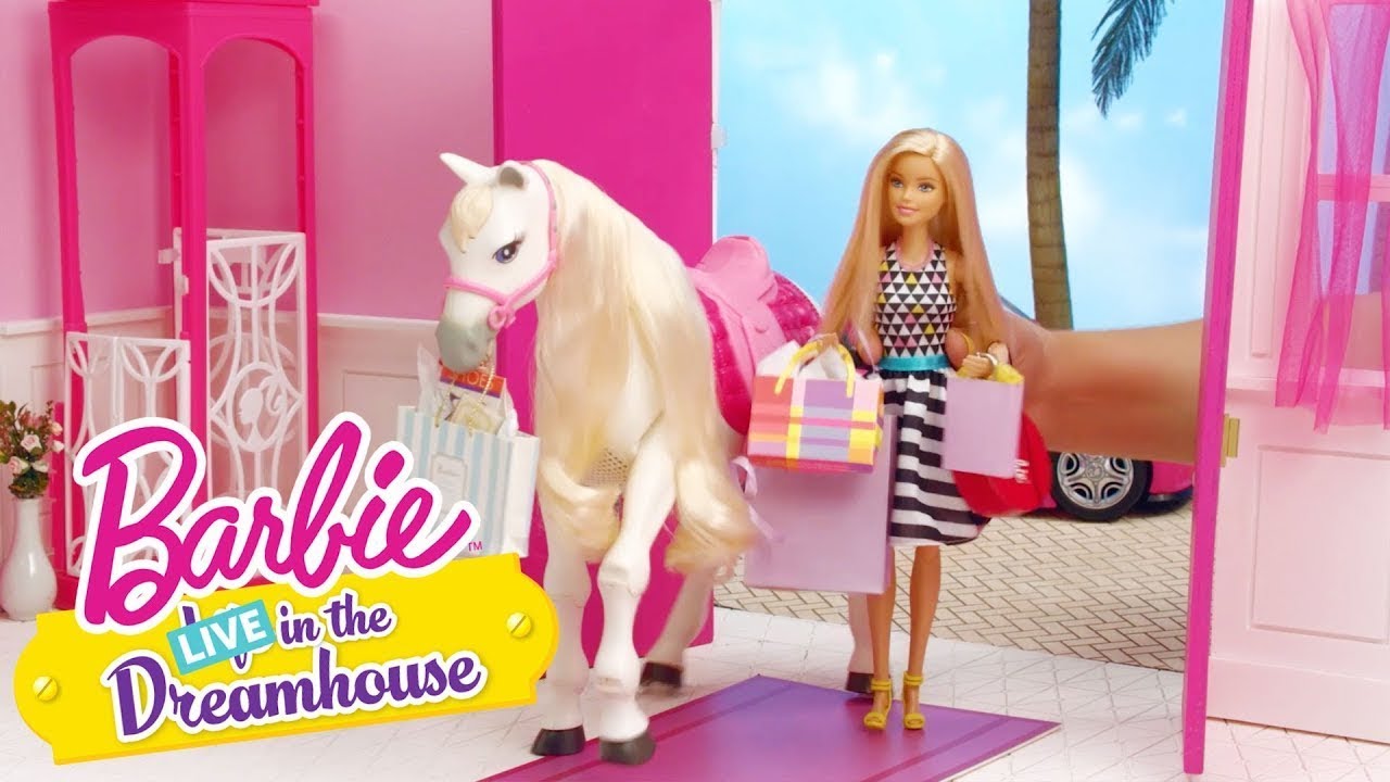 Tawny tráví den s Barbie | Barbie LIVE! In The Dreamhouse | Barbie