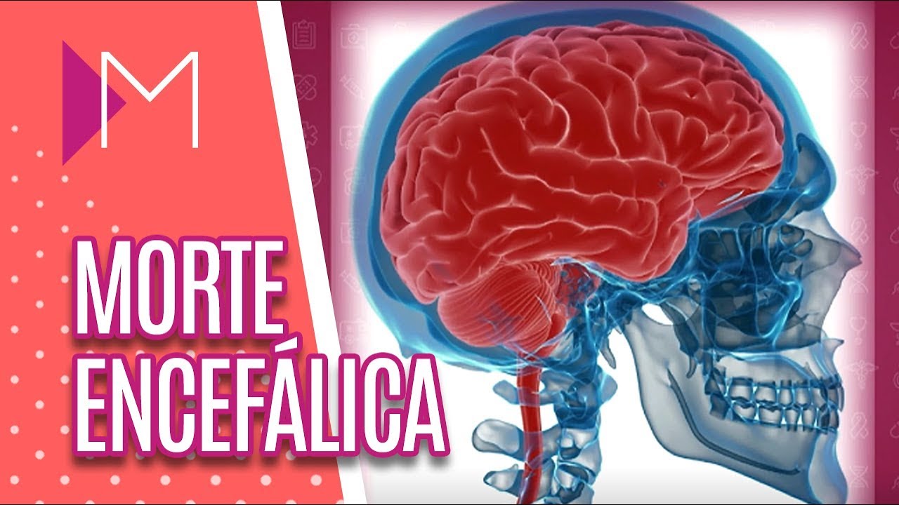 A morte ENCEFÁLICA que causou a morte de Gugu Liberato - Mulheres (25/11/2019)