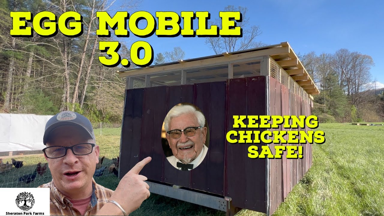 Egg Mobile Build - Have We Designed the Perfect Eggmobile?