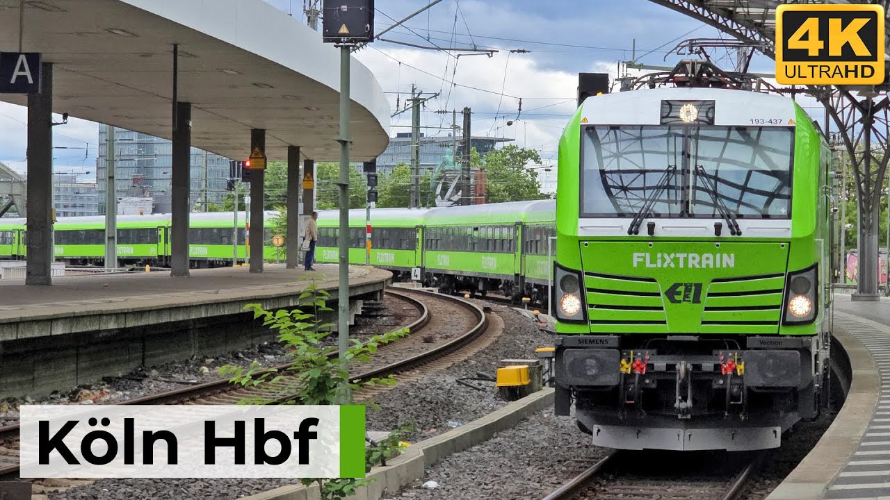Köln Hbf 06.06.2025 - Charterlok, Flixtrain & ICE nach Frankfurt und Basel
