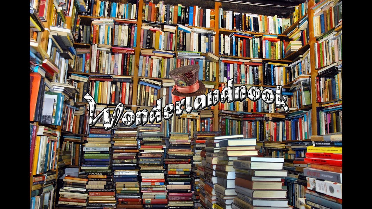 Bookshelf Spotlight
