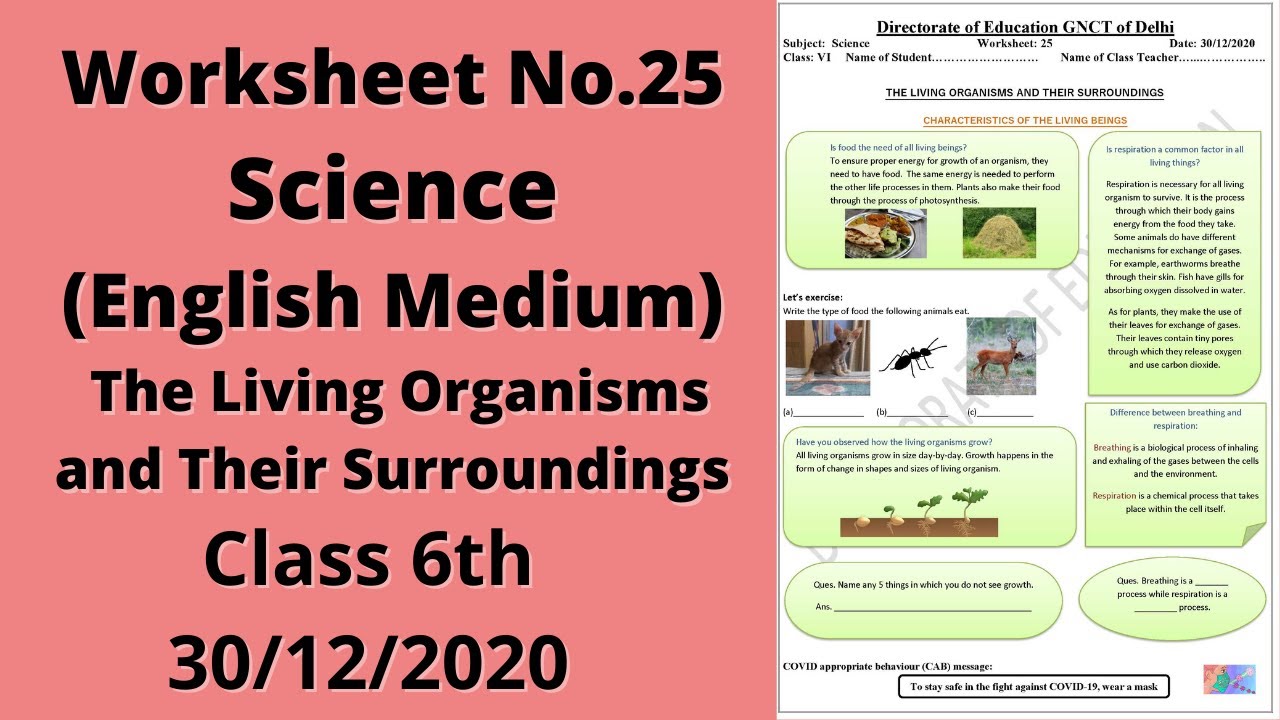 Worksheet 25 Science class 6(30/12/2020)English Med /worksheet 25 Science class6/Science worksheet25