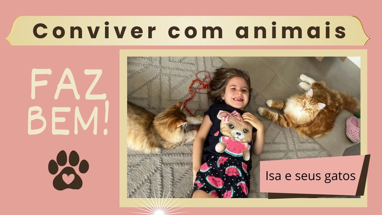 Gatos fazem bem: Isa e sua avó contam por quê