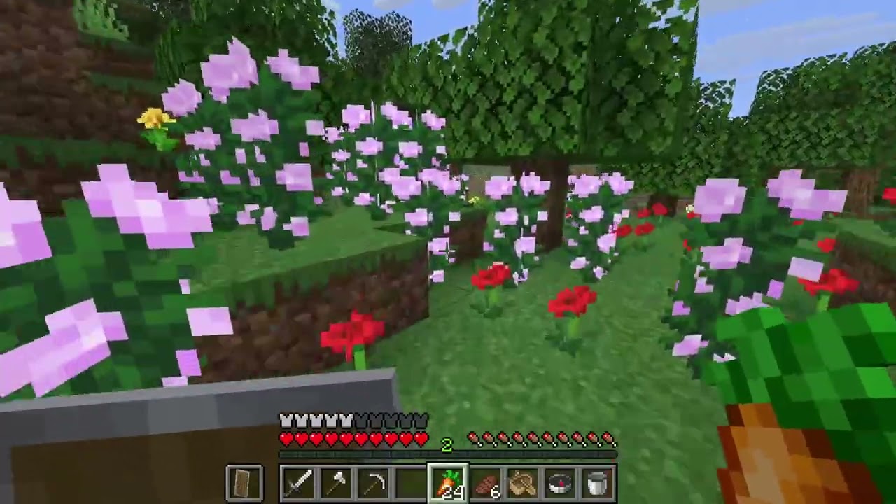 Minecraft nueva semilla nuevas aventuras capt 8