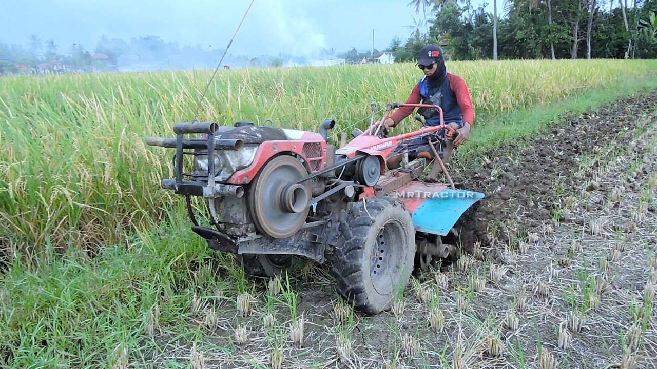 Power Tiller Hand Tractor Working on Wet Topsoil