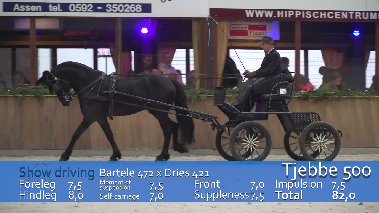TJEBBE 500 SPORT AAA at KFPS central examination 2017