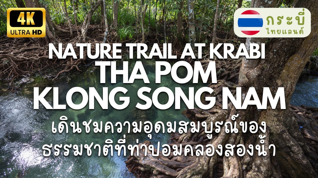 Природная тропа в Tha Pom Klong Song Nam - Krabi Thailand (4K)