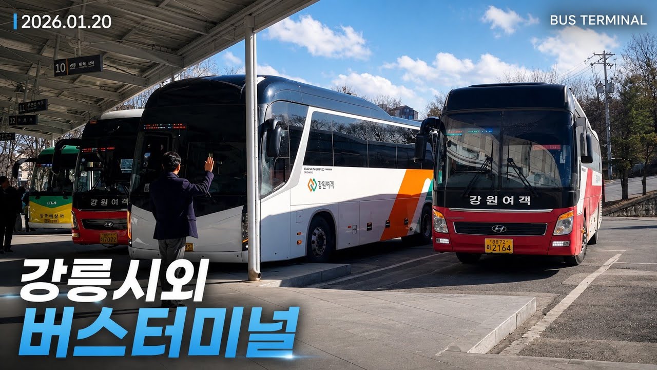 강릉시외버스터미널 시외버스 모음 (Gangneung City Bus Terminal)