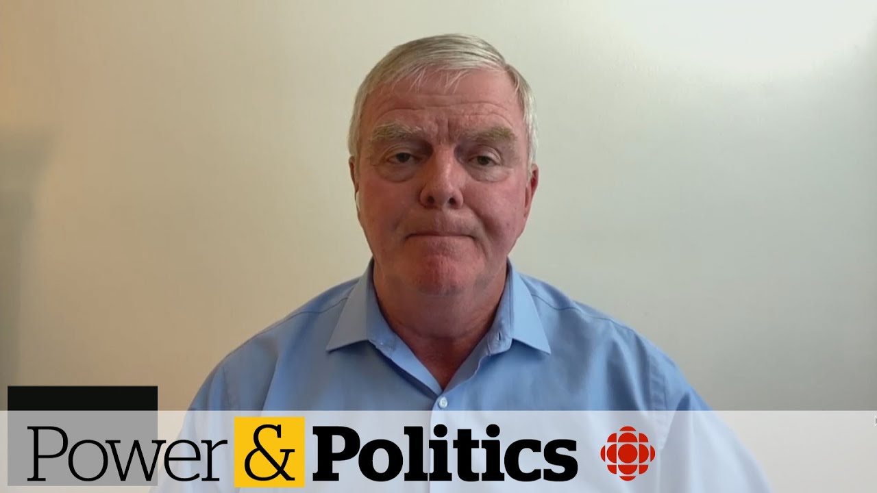 Former Canadian military commander wants no-fly zone over Ukraine