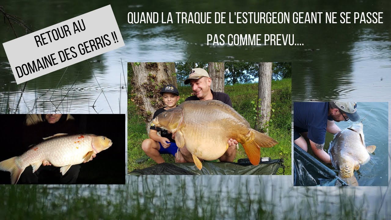Ludo et Stan // Retour au domaine des Gerris : la traque de l'esturgeon géant tourne mal