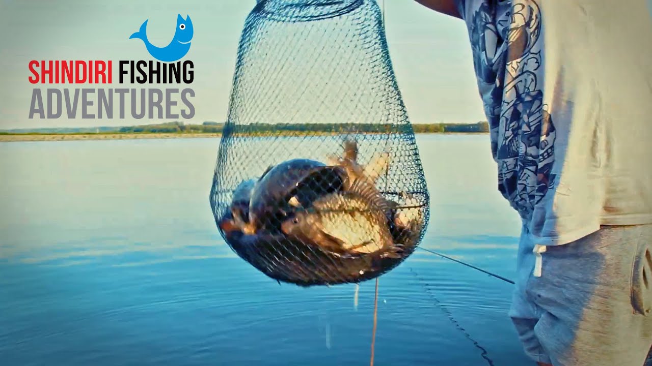 Shindiri Fishing Adventures - Episode 01 - Kladovo - Milutinovac - Brza Palanka