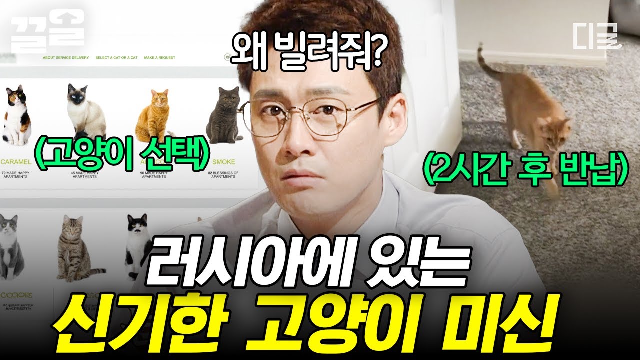 [#프리한19] 이사한 집에 고양이를 데려오는 이유?!🍀 러시아에 존재하는 흥미로운 미신🐈