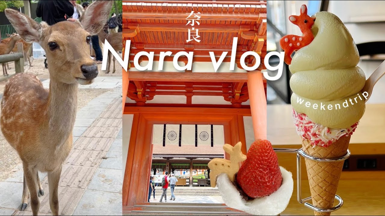【奈良旅行 vlog】女ひとり旅🌱🦌鹿に癒される1泊2日 | 春日大社、東大寺、二月堂観光、奈良公園、名物グルメを堪能、ROKUMEI COFFEE、いろはグランドホテル近鉄奈良駅前(sub