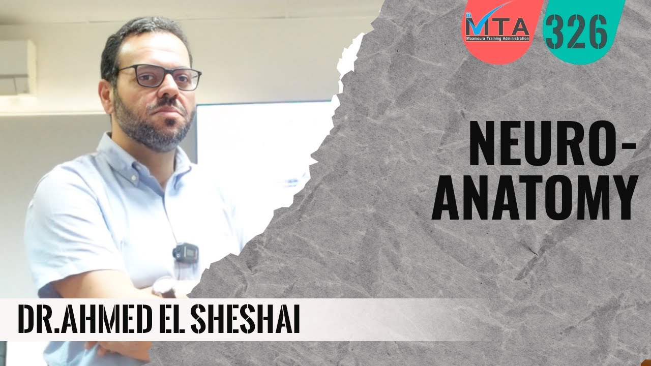 Foundations of Neuroanatomy | Dr. Ahmed Elsheshai
