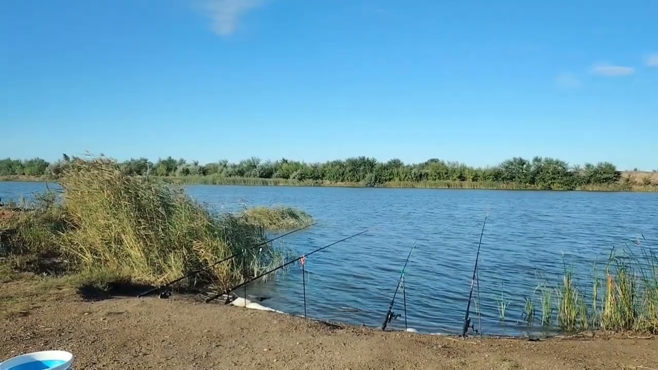 Рыбалка на реке Нура недалеко от Астаны и не только.