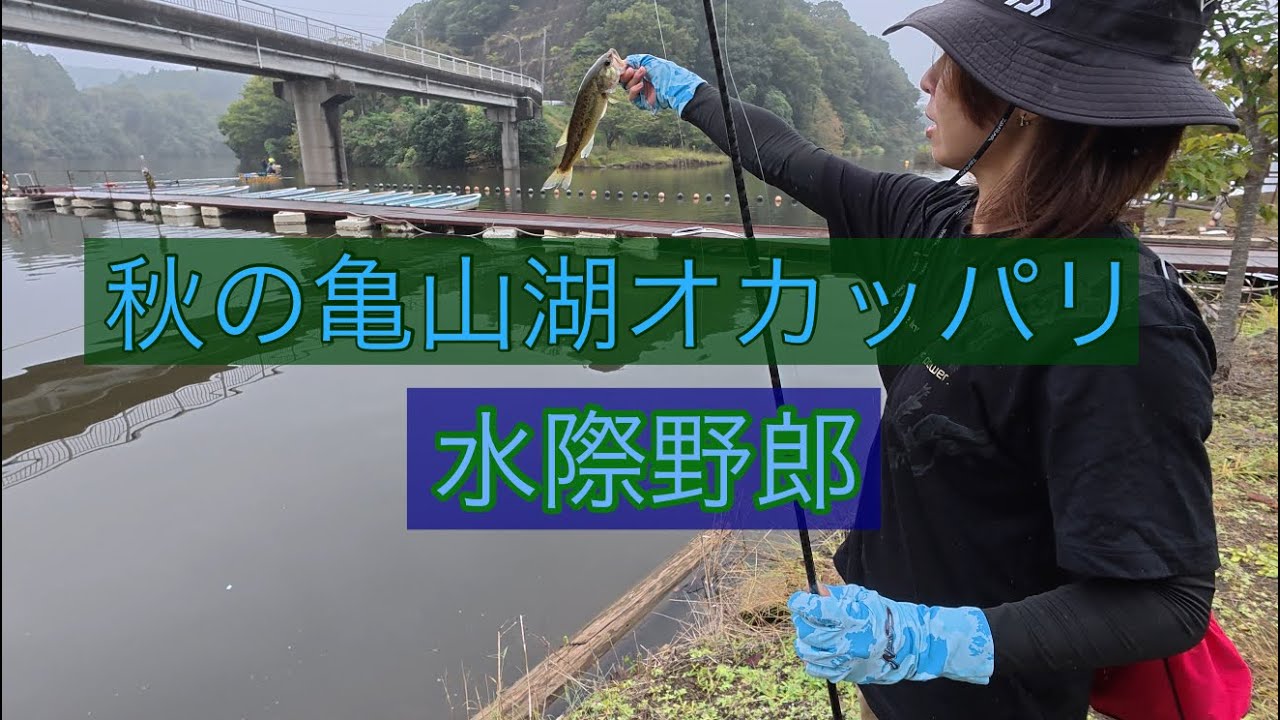 亀山湖オカッパリ【バスフィッシング】気難しい秋のバス釣り、ボウズ逃れのススメ#亀山ダム#バス釣り#ルアー