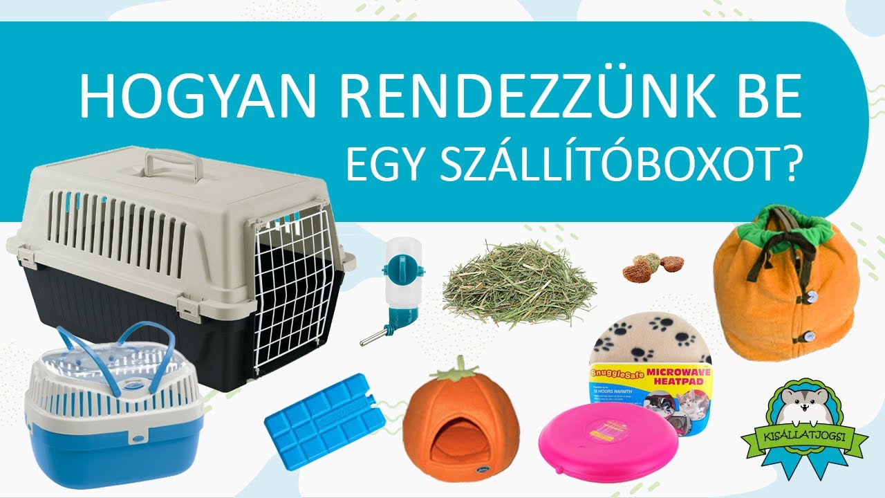 Hogyan rendezzünk be egy szállítóboxot?