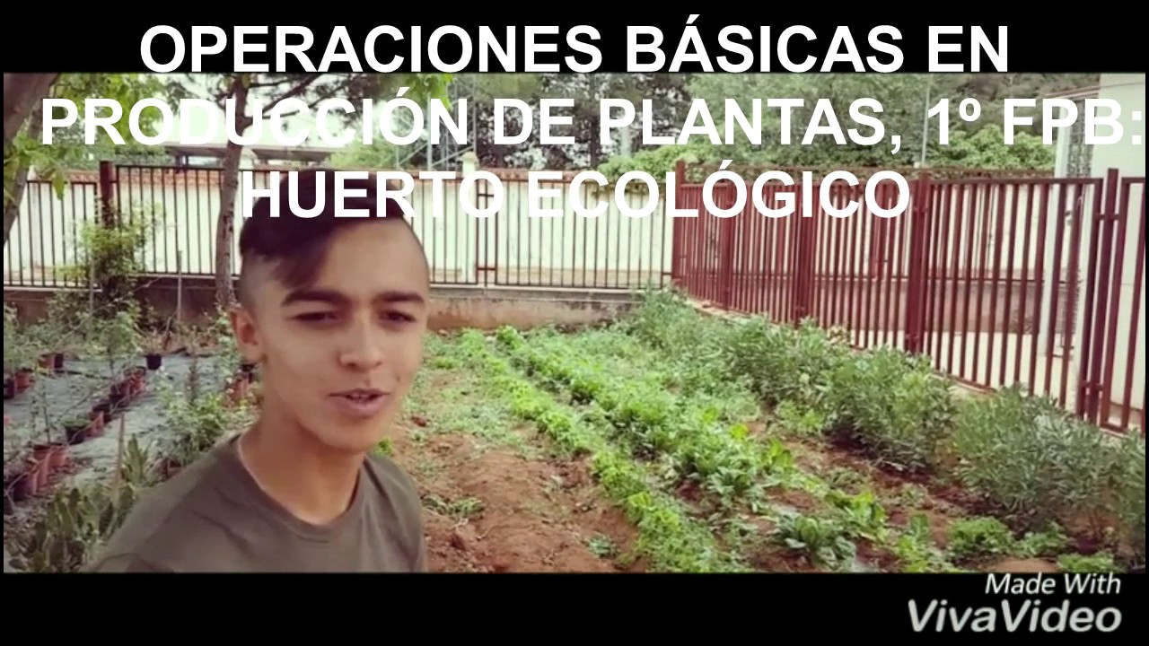Resumen proyecto de innovaci&oacute;n metodol&oacute;gica IES Guadalerzas