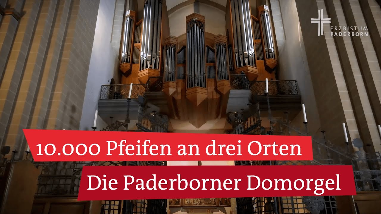 Domorgel im Paderborner Dom: Blick hinter die Kulissen der drittgrößten Orgel Deutschlands