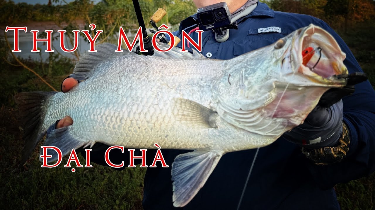 Câu Lure Cá Chẽm Đầm Thiên Nhiên Thuỷ Môn Đại Chà Bát Quái Trận