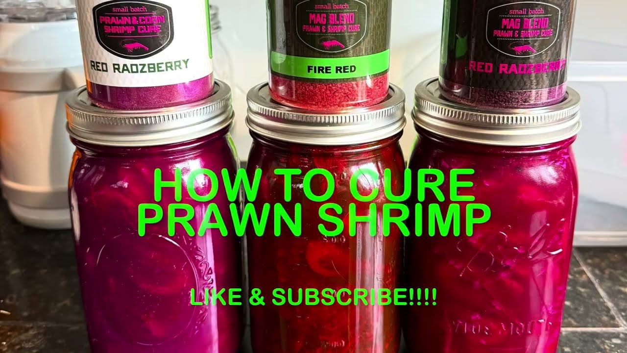 How to: Cure Prawn & Coon Shrimp 