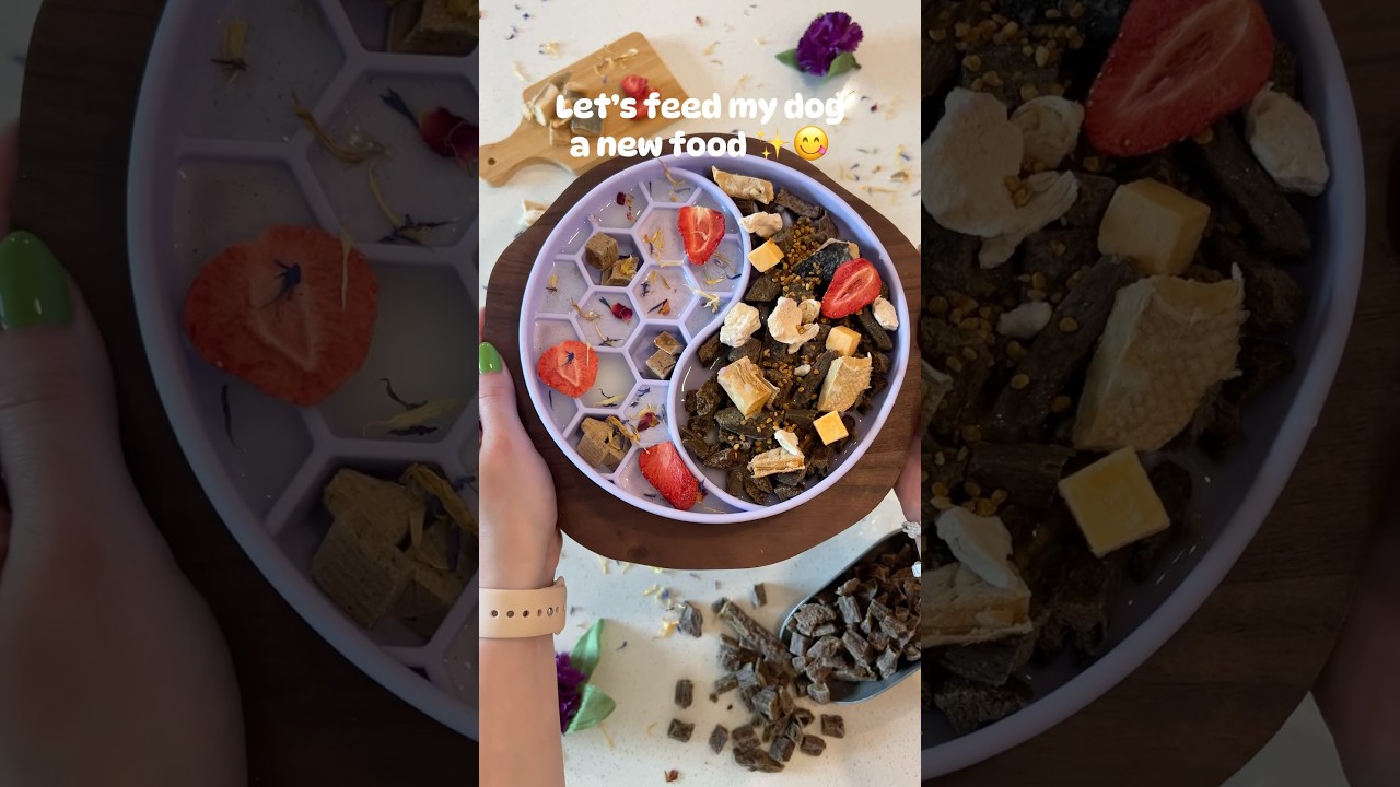 10/10 Holly approved 😋 #dogfood #dogfoodreview #badlandsranch #badlandsranchpet #review #tastetest