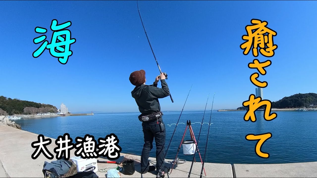 釣り日和。釣れる日和。楽しい陽気。【知多半島・大井漁港】