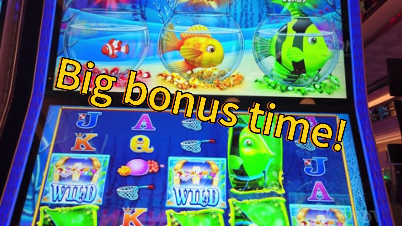 Did Gold Fish Deluxe Finally Pay Out Big?