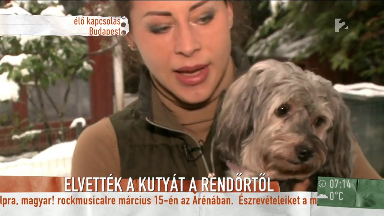 Tornóczky Anita elárulta, hogy mi lehet a sorsa a kiskutyának, akit a rendőr megütött - tv2.hu/mokka
