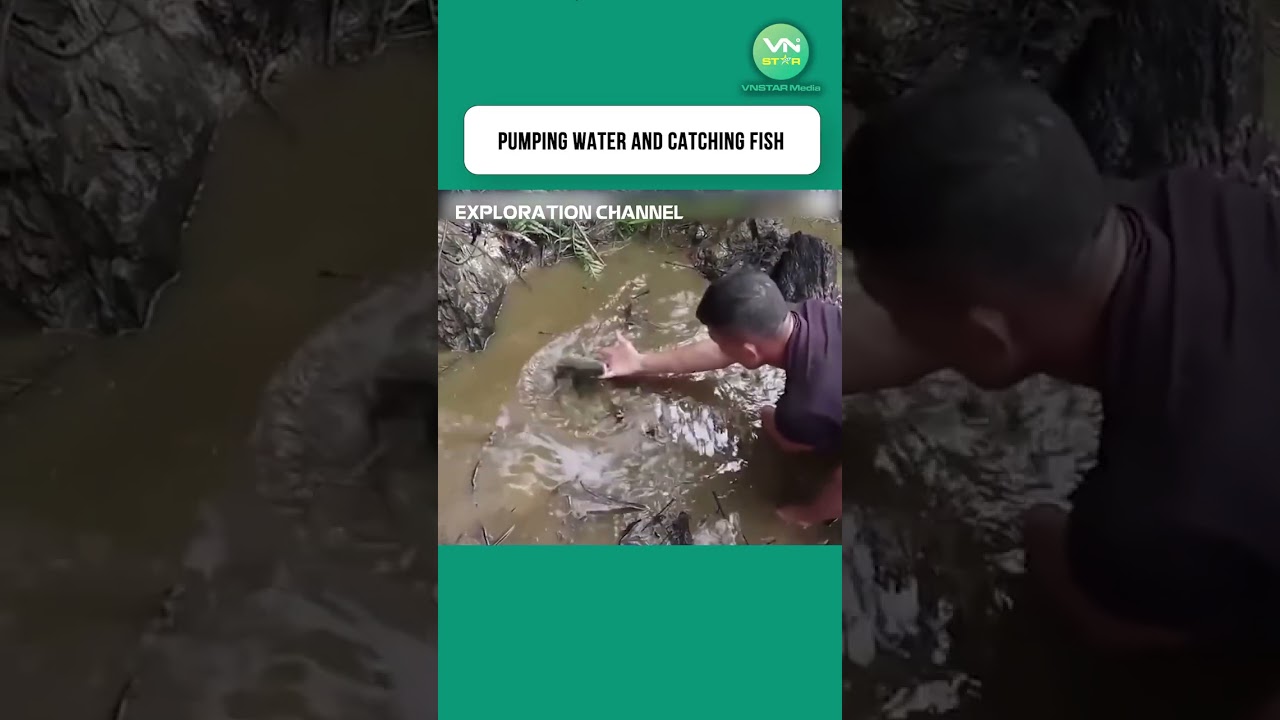 Pumping Water and Catching Fish  #fishing #short