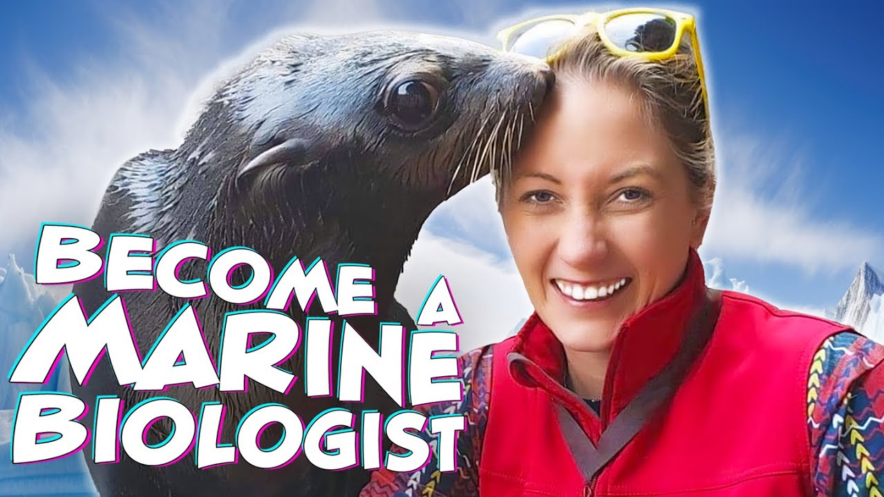 How To Get a Job Working with Animals