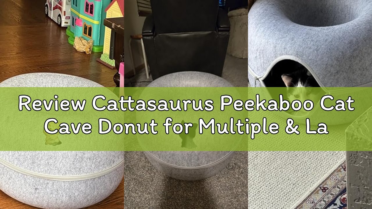 Review Cattasaurus Peekaboo Cat Cave Donut for Multiple & Large Cats up to 30-45 lbs, 3-in-1 Self Wa